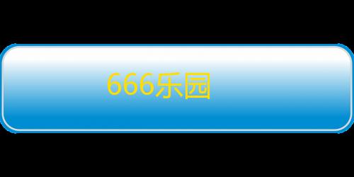 dns在线检测666乐园